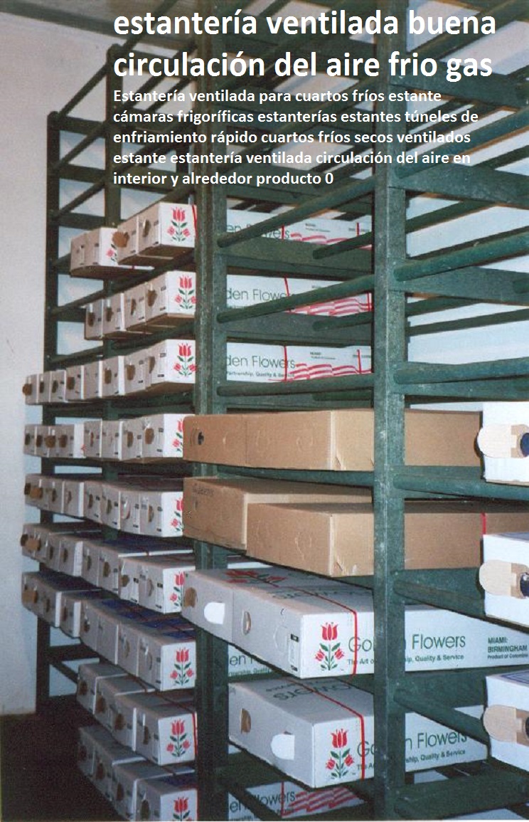 Estantería ventilada para cuartos fríos estante cámaras frigoríficas estanterías estantes túneles de enfriamiento rápido cuartos fríos secos ventilados estante estantería ventilada circulación del aire en interior y alrededor producto 0 Estantería ventilada para cuartos fríos estante cámaras frigoríficas estanterías estantes túneles de enfriamiento rápido cuartos fríos secos ventilados estante estantería ventilada circulación del aire en interior y alrededor producto 0 Estantería ventilada para cuartos fríos estante cámaras frigoríficas estanterías estantes túneles de enfriamiento rápido cuartos fríos secos ventilados estante estantería ventilada circulación del aire en interior y alrededor producto 0